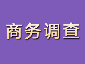 邵阳商务调查